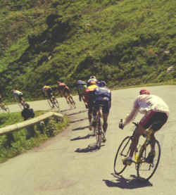 0142stage15.jpg (83675 bytes)