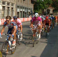 Giro380cipo.jpg (47665 bytes)