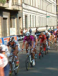 Giro382cipo.jpg (67821 bytes)