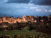 cite.jpg (44564 bytes)